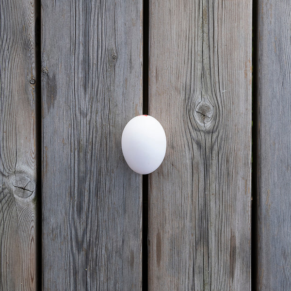 6 UOVA PRINCIPE DI FINO DA GALLINA LIVORNESE DI CALIBRO GRANDE