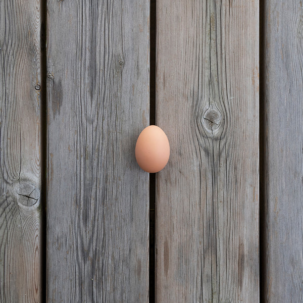 6 UOVA BIO DI FINO DA GALLINA OVAIOLA ROSSA DI CALIBRO MEDIO