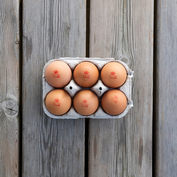6 UOVA PRINCIPE DI FINO DA GALLINA OVAIOLA ROSSA DI CALIBRO GRANDE