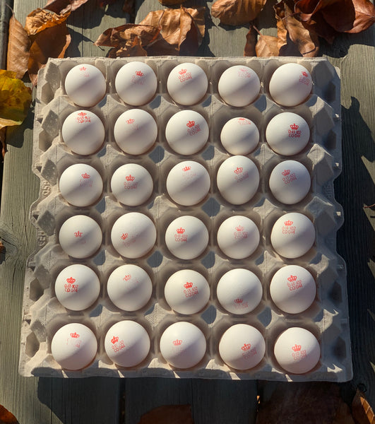 6 Uova small da gallina giovane Livornese