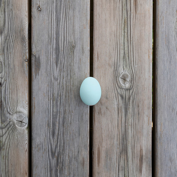 4 UOVA PRINCIPE DI FINO DA GALLINA ARAUCANA