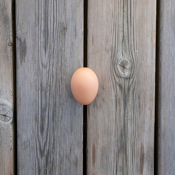 6 UOVA PRINCIPE DI FINO DA GALLINA OVAIOLA ROSSA DI CALIBRO GRANDE