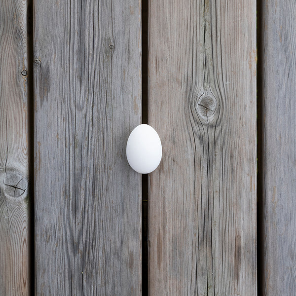 6 UOVA BIO DI FINO DA GALLINA LIVORNESE DI CALIBRO MEDIO